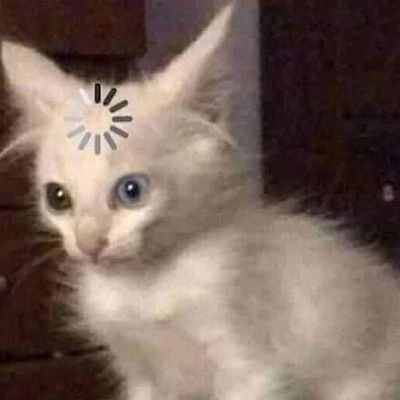 lowbattre's profile picture. boleh ngamuk aja nggak si akkkkhhh