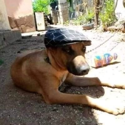 MitongaViviane's profile picture. 