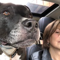 SusaninMA🇺🇸 (@susaninma) 's Twitter Profile Photo SusaninMA🇺🇸 (@susaninma) 's Twitter Profile Photo