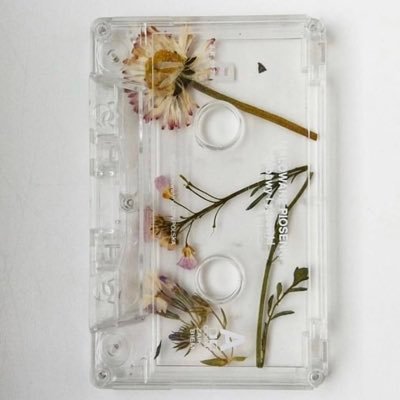 shoshin_sha22's profile picture. 好きな芸人さんから芋蔓式に好きな芸人さんが増えて困った