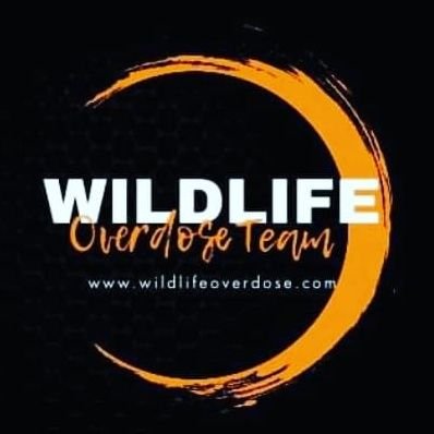Hunting Show based out of Missouri🌲
Team of 8 Hunters 🇺🇸
Airing on Gen7 Outdoors TV & Lake TV 📺
Wild Outdoors Productions 🎥