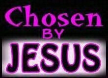 primbarbie's profile picture. 