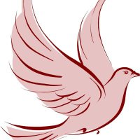 Shared Touch (@sharedtouchco) 's Twitter Profile