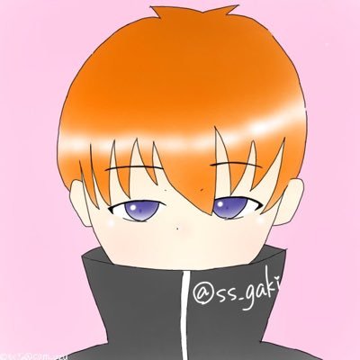 ss_gaki's profile picture. なんか適当にゲームしてます。