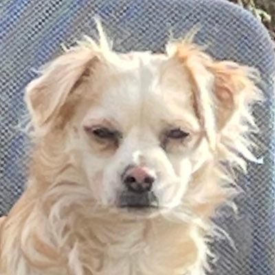 WTF_and_How's profile picture. Sharing everything that makes us think WHAT THE F____ is wrong with us.A place to see how far wacky this world has become. #followback #cowardinchief