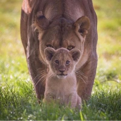 SonjaCassady's profile picture. That's private