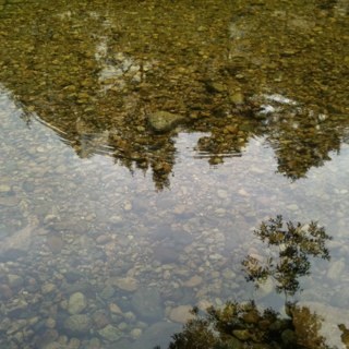 kittencto's profile picture. web, data mining, android, connected-healthcare, Seoul, seocho-gu, yangjae-dong, deviation.