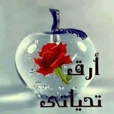 احب وكل ماهو جميل