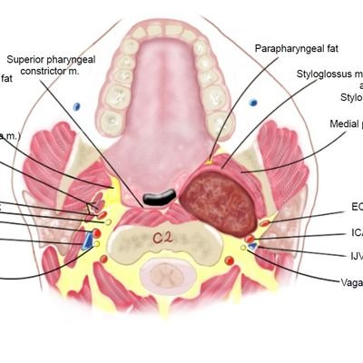 Medicalillustrationradiologyさんのプロフィール画像