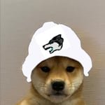 Adi (@adics2_) 's Twitter Profile