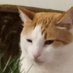 Duckynito (@duckynito) Twitter profile photo Duckynito (@duckynito) Twitter profile photo