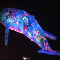 dak (@opndayo) Twitter profile photo