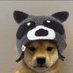 Oliwer 🦝 (@sh1den_) Twitter profile photo Oliwer 🦝 (@sh1den_) Twitter profile photo