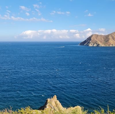 IngFranciscoG's profile picture. 