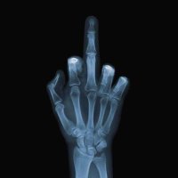 Dr.I Say Whatever The Fuck I Want (@4everfreepali) 's Twitter Profile Photo