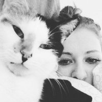 Stephanie Kelley (@step_melol912) 's Twitter Profile