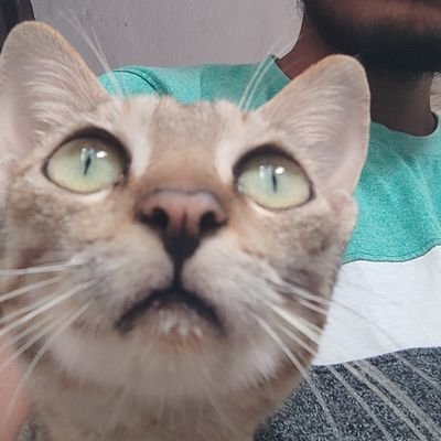 iam_Abd038's profile picture. eat • sleep • code | reinventing the wheel