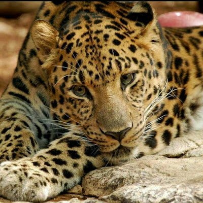 monaludao2's profile picture. 