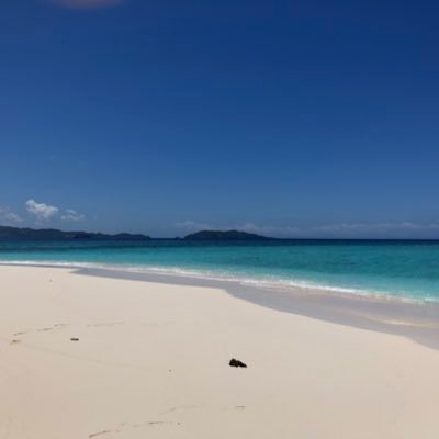 takraw_yeees's profile picture. ポケユナ/サポート/LFT