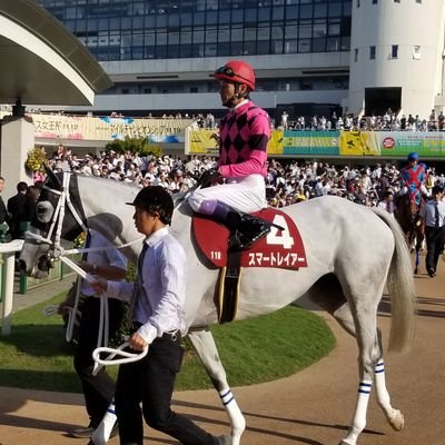 smartfalcon01's profile picture. 