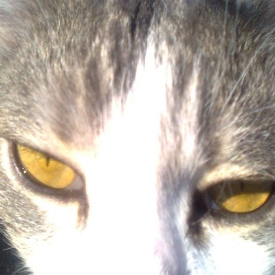 sabinesk's profile picture. Sabine  Artiste peintre amateur et photographe à mes heures.