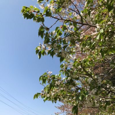 EV、自動運転、自動車周辺業界のあれこれをツイートしたりpickしたり専用アカウントです。中身はサラリーマン。テスラーの方ひたすらフォローしますのでご了承ください。