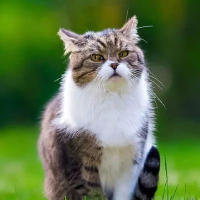 Imaaaaaさんのプロフィール画像