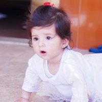 Javed Hussain (@javed7214) 's Twitter Profile