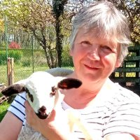 Lorraine Turnbull Author 🏴󠁧󠁢󠁳󠁣󠁴󠁿 🇫🇷 🐏 🐏(@LorraineAuthor) 's Twitter Profile Photo