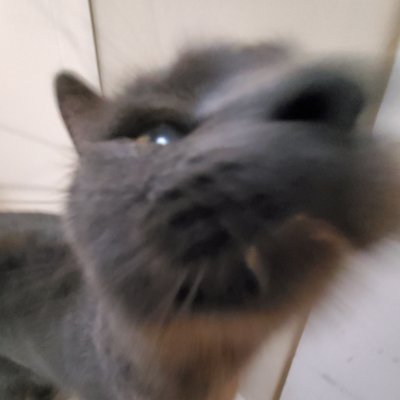 Little_Disturbedさんのプロフィール画像