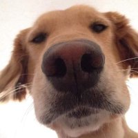 Kanopy (@moocouple) 's Twitter Profile