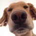 Kanopy (@moocouple) Twitter profile photo Kanopy (@moocouple) Twitter profile photo