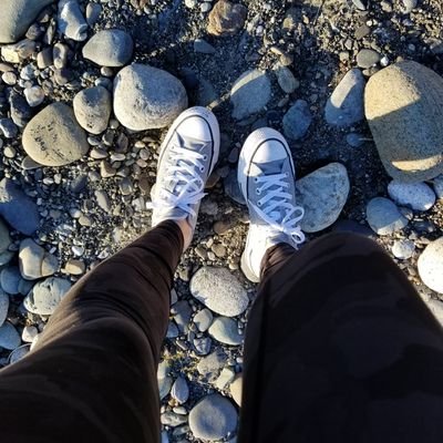 the_girl_codes_'s profile picture. Aspiring Web Developer