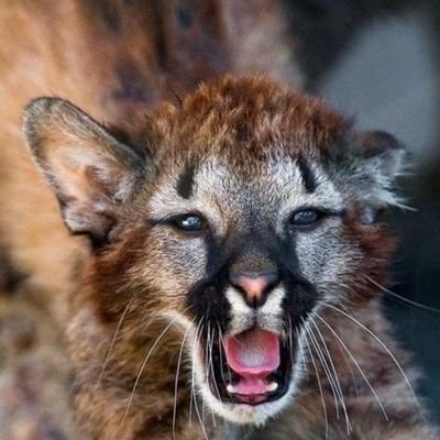 jeffmayer2b's profile picture. Je tik je tik et ma vie ça se résume ça