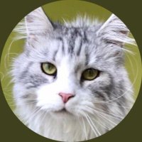 Ben Tallmadge (@bentallmadge01) 's Twitter Profile Photo Ben Tallmadge (@bentallmadge01) 's Twitter Profile Photo