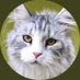 Ben Tallmadge (@bentallmadge01) Twitter profile photo Ben Tallmadge (@bentallmadge01) Twitter profile photo