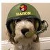 Major BaronThePBGV (Zombie Hunter) (@baronthepbgv) Twitter profile photo Major BaronThePBGV (Zombie Hunter) (@baronthepbgv) Twitter profile photo