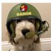 Captain BaronThePBGV (Zombie Hunter) (@BaronThePBGV) Twitter profile photo