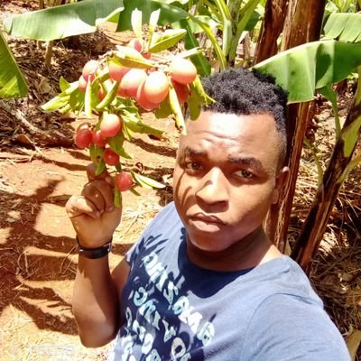 amedeusii40's profile picture. Amedeus