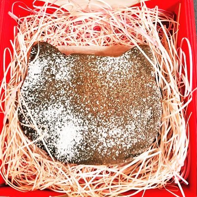 takchos's profile picture. 色んな方と楽しくゲームできたらうれしいです😶無言でフォロー・RTしていくのは許してくださいwもちろんフォロバは100%です！