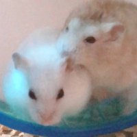 ジュンち (@junkunkawaii05) Twitter profile photo