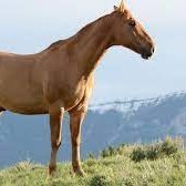 hesoyaam01's profile picture. 