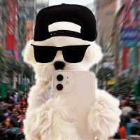 PapiPartner (@papipartner) 's Twitter Profile