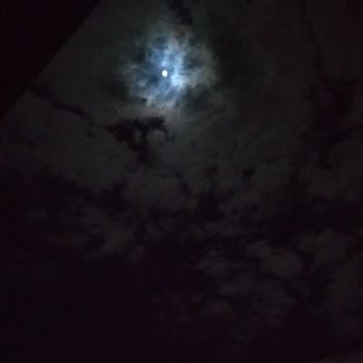 MlungisiMlu27's profile picture. .....

Mlumabaso17@gmail.com