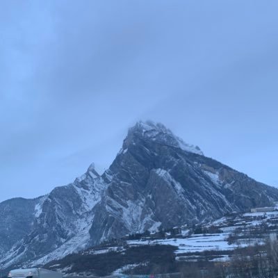 mentor_dshc's profile picture. 