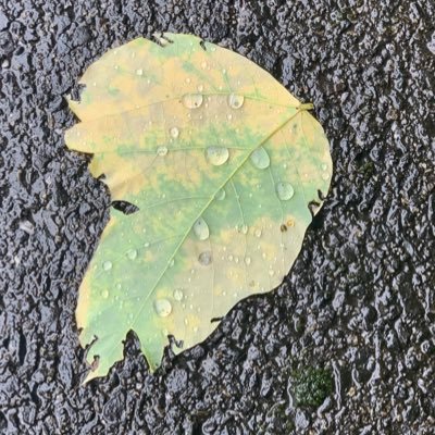egg3pe's profile picture. 