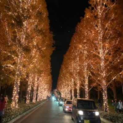 京都の宇治 スーツリーマン24複数してみたい