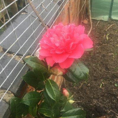 Angel72014008's profile picture. 