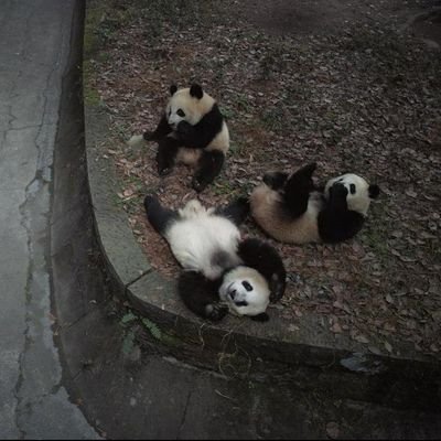 imirrii's profile picture. 🍟🎧