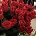 شذى (@shazaalyuosef) Twitter profile photo شذى (@shazaalyuosef) Twitter profile photo